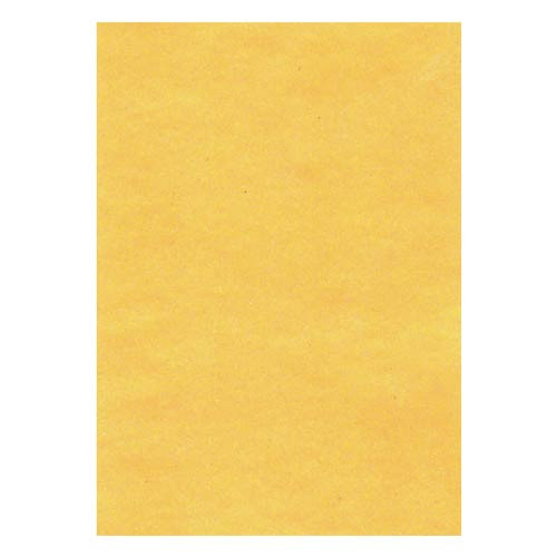 Бумага для лазерной печати A4, 100л, синтетическая (6949) EnDURO Effect M-60 YP золото, SIHL,Германия