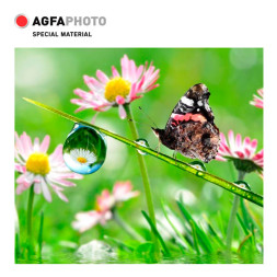 Фотобумага A4, 200 г/м2, 10л, ЗВЕЗДА,3D,глянцевая  AGFA