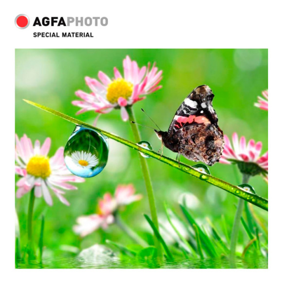 Фотобумага A4, 200 г/м2, 10л, ЗВЕЗДА,3D,глянцевая  AGFA