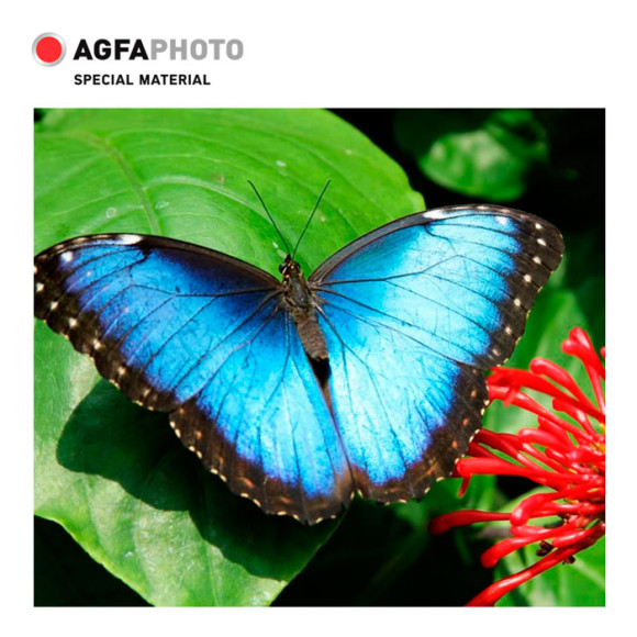 Фотобумага A4, 200 г/м2, 10л, КВАДРАТ,3D,глянцевая  AGFA