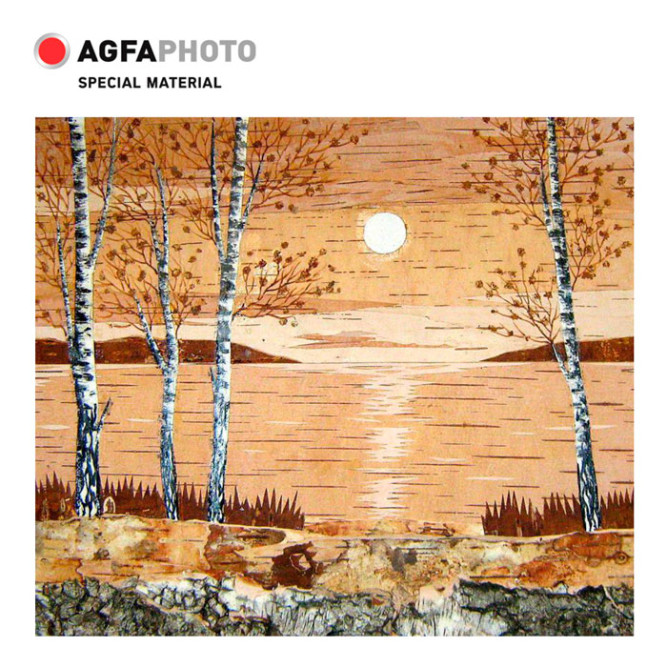 Фотобумага фактурная, глянцевая A4, 260 г/м2, 10л, БЕРЕСТА, AGFA